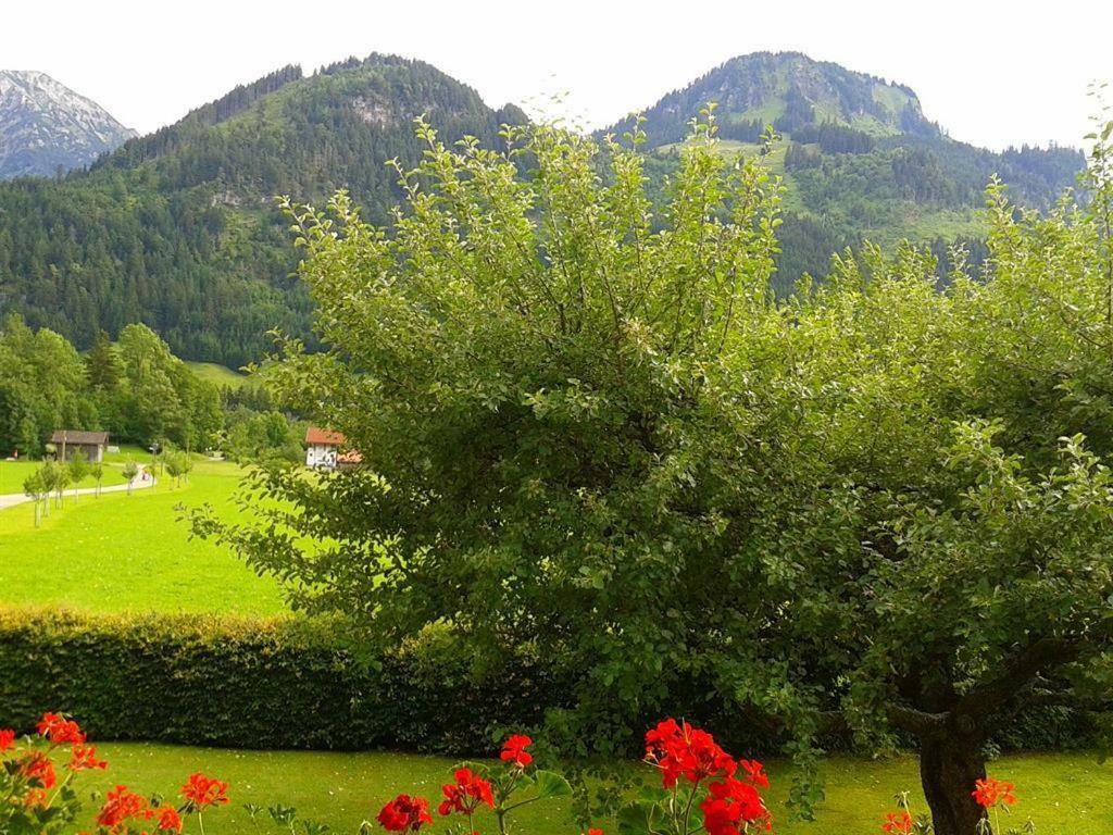 Haus Schöll Bad Hindelang Exterior foto
